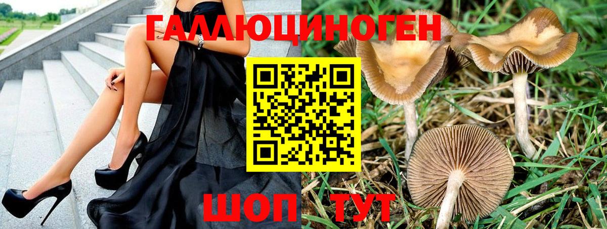 Чусовой  Галлюциногенные грибы ЛСД  Вход с VPN  Псилоцибиновые грибы мицелий 