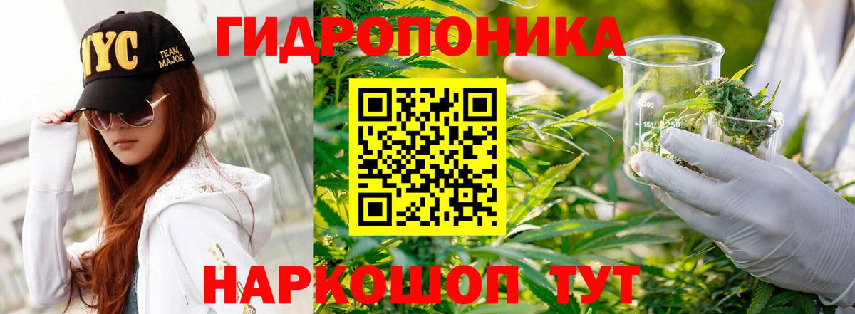 Бошки Шишки сатива Чусовой